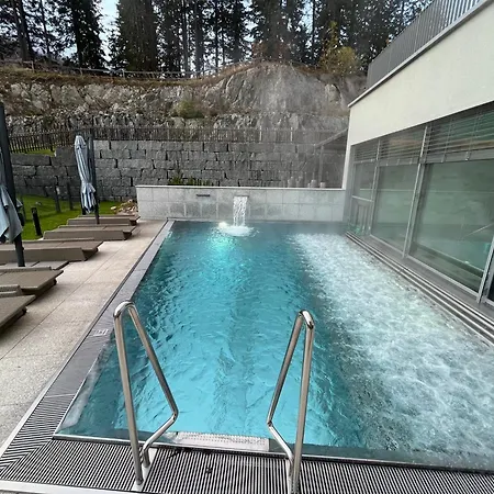 Alpine Luxury With Access To 5 Star Davos