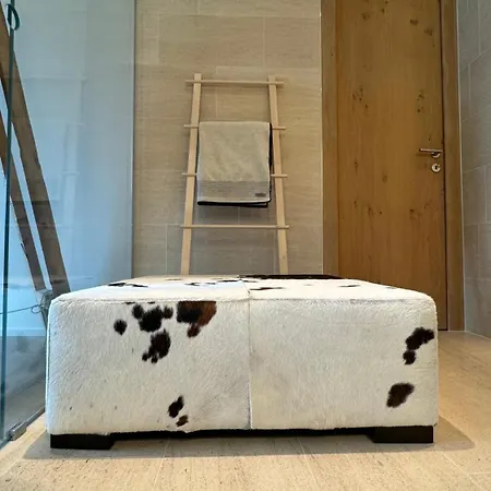 Alpine Luxury With Access To 5 Star Davos