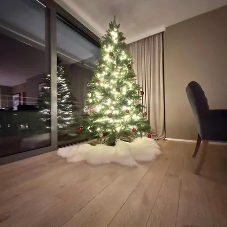 Alpine Luxury With Access To 5 Star * Davos