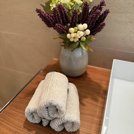 Apartment Alpine Luxury With Access To 5 Star *